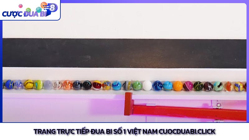 Trang trực tiếp đua bi số 1 Việt Nam cuocduabi.click