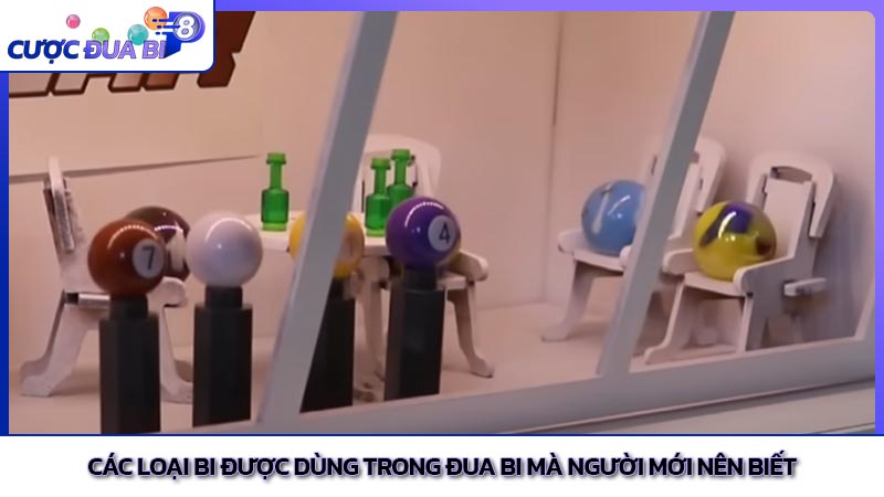 Các loại bi được dùng trong đua bi mà người mới nên biết