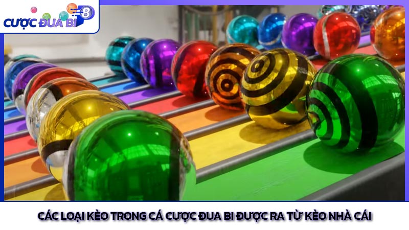 Các loại kèo trong cá cược đua bi được ra từ kèo nhà cái