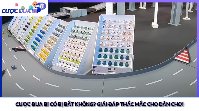 Cược đua bi có bị bắt không? Giải đáp thắc mắc cho dân chơi