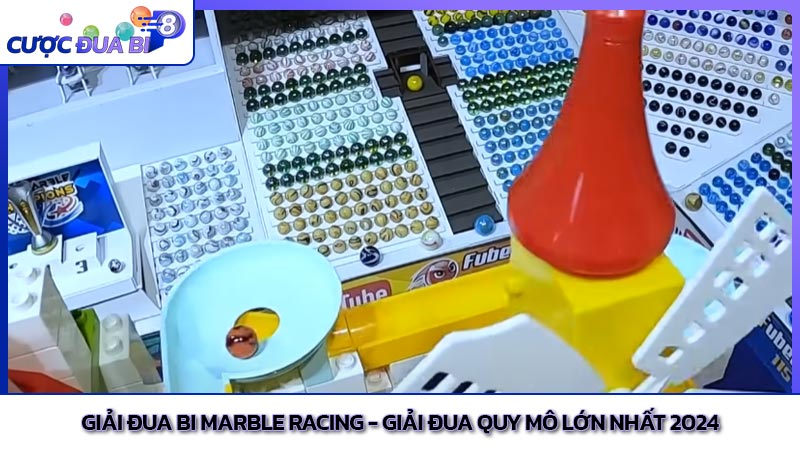 Giải đua bi Marble racing - Giải đua quy mô lớn nhất 2024