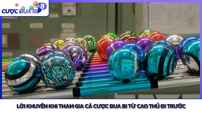 Lời khuyên khi tham gia cá cược đua bi từ cao thủ đi trước