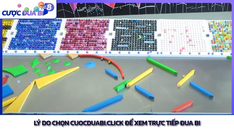 Lý do chọn cuocduabi.click để xem trực tiếp đua bi