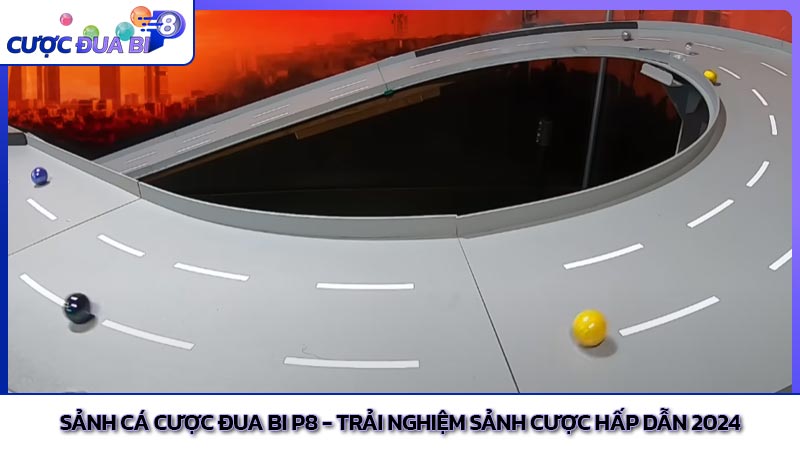 Sảnh cá cược đua bi P8 - Trải nghiệm sảnh cược hấp dẫn 2024