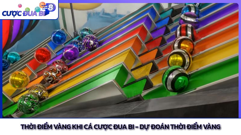 Thời điểm vàng khi cá cược đua bi - Dự đoán thời điểm vàng