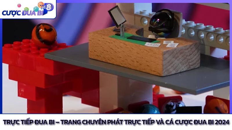 Trực tiếp đua bi – Trang chuyên phát trực tiếp và cá cược đua bi 2024