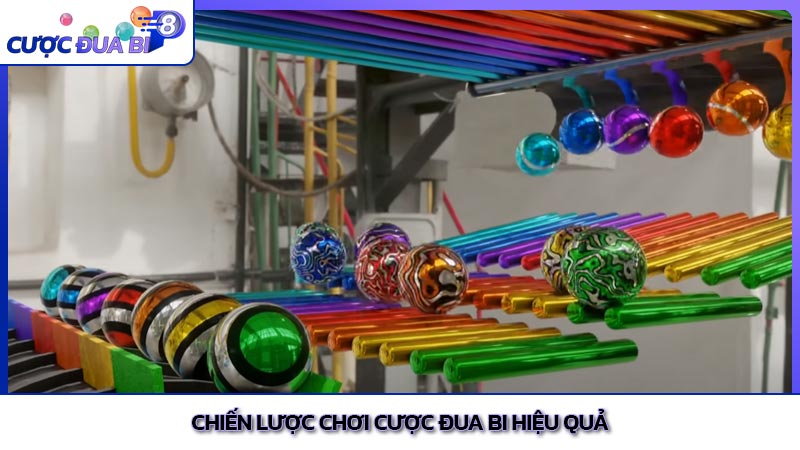 Chiến lược chơi cược đua bi hiệu quả