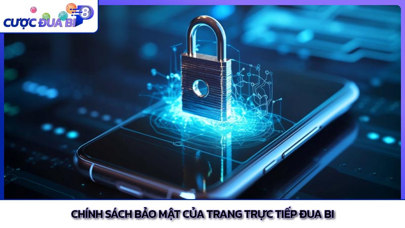 Chính sách bảo mật của trang trực tiếp đua bi