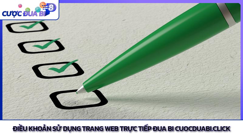 Điều khoản sử dụng trang web trực tiếp đua bi Cuocduabi.click