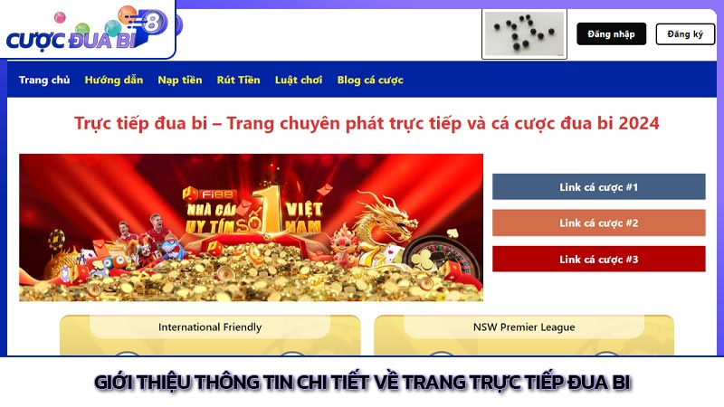 Giới thiệu thông tin chi tiết về trang trực tiếp đua bi