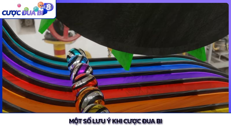 Một số lưu ý khi cược đua bi